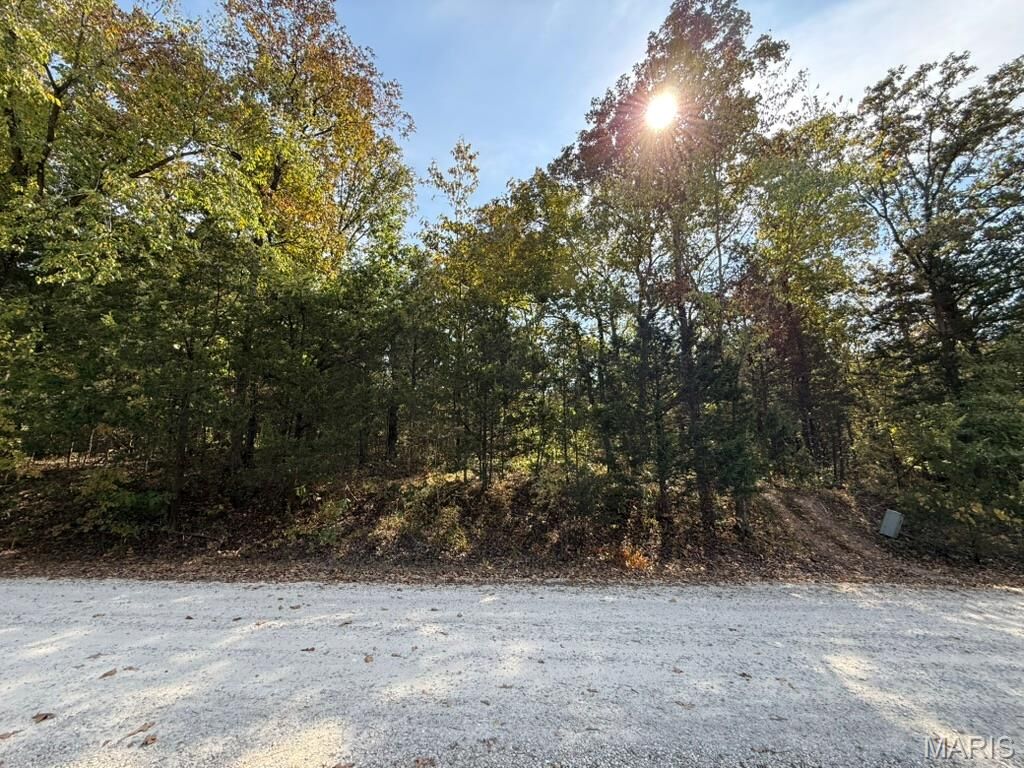 Property Photo:  6-685 Bunker Hill Drive  MO 63020 