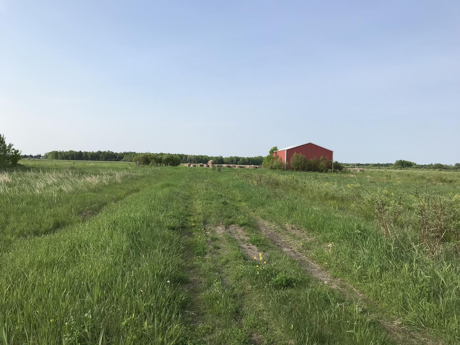 Property Photo:  000 E 7 Mile Road  MI 49783 