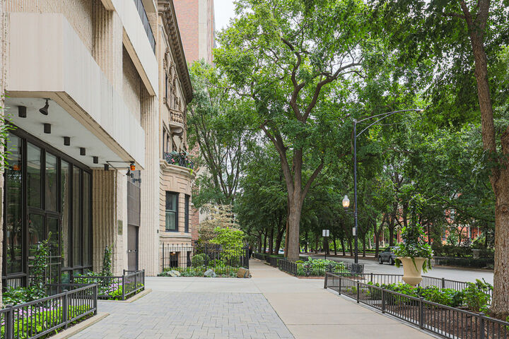 Property Photo: 1516 N State Parkway 5B IL 60610