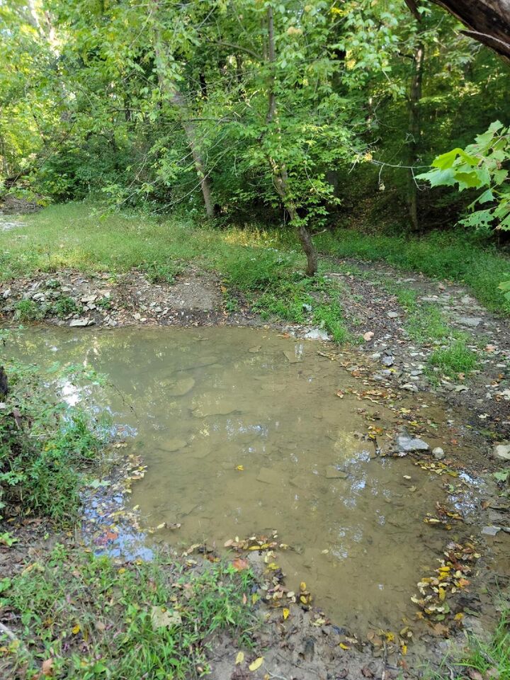 Property Photo:  15711 Pfanstiehl Road  KY 41033 