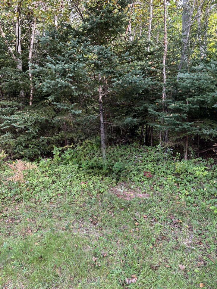 Photo de la propriété:  Lot 1 Panmure Island Road  PE C0A 1R0 