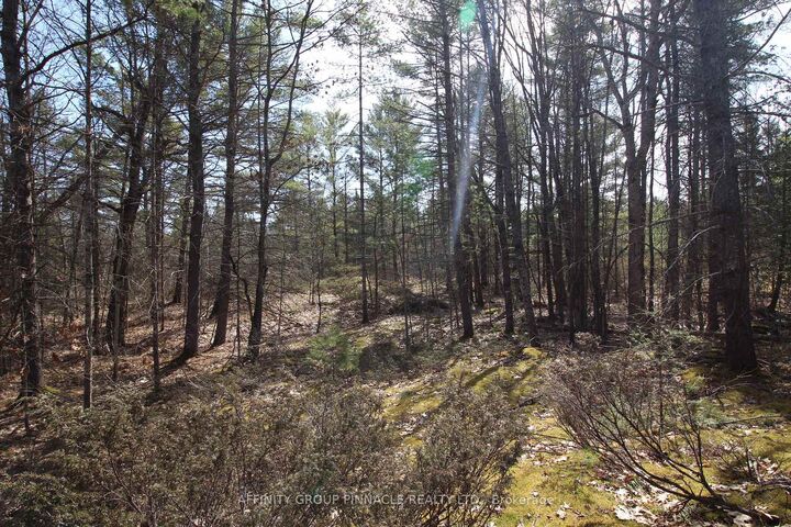 Property Photo:  Lot 15 Concession 9 N/A  ON K0L 1J0 