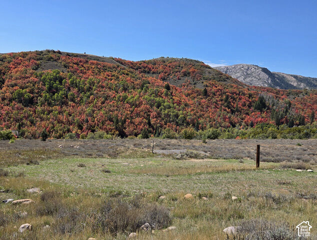 Property Photo:  13075 E Pine Canyon Rd 345  UT 84317 
