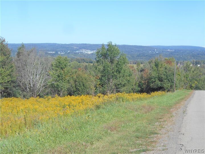 Property Photo: 0 Dutch Hill Rd, Lot #1 NY 14171