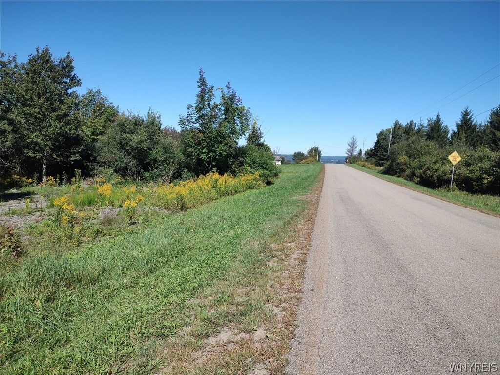 Property Photo: 0 Dutch Hill Rd, Lot #2 NY 14171