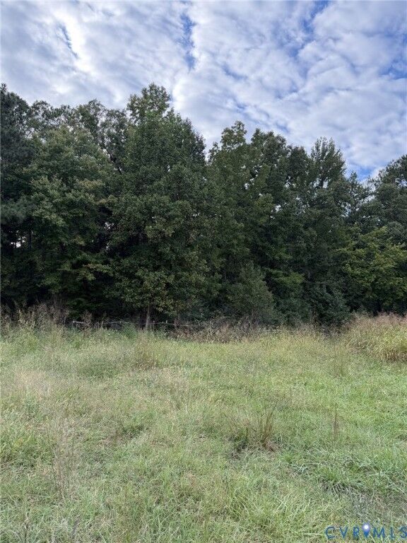 Property Photo:  15203 Breedens Road  VA 23047 