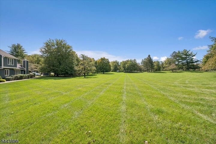 Property Photo:  10 Village Dr  NJ 07920 