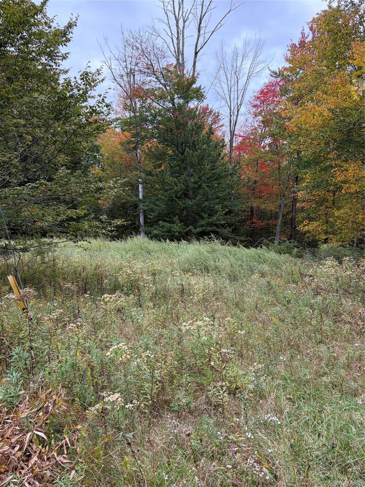 Property Photo:  695 Budd Road  NY 12788 