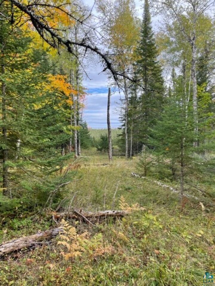 Property Photo: Xxxx Sunny Ln MN 55811