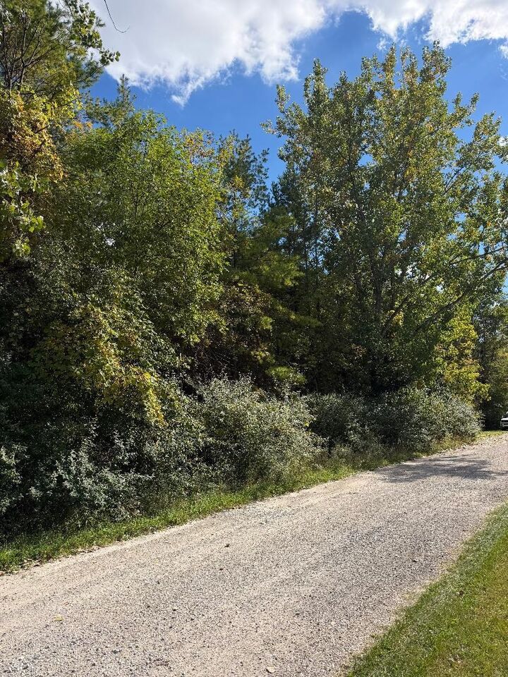 Property Photo:  Vl N Weeping Willow  MI 48657 