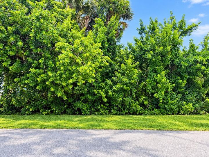 Property Photo: 23242 Fawn Avenue FL 33980