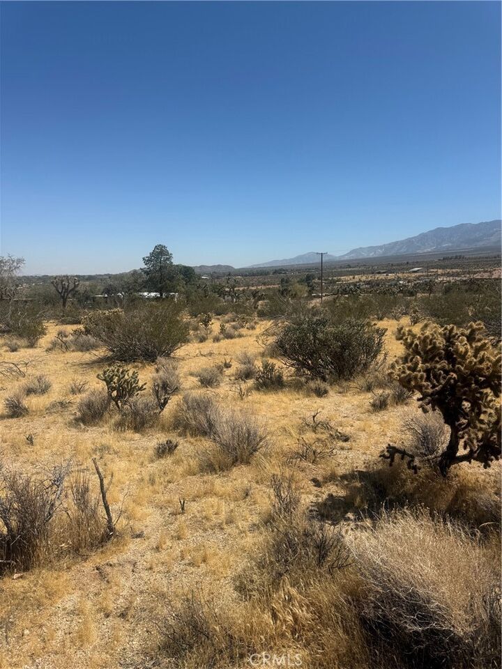 Property Photo:  2 Horizon  CA 92356 