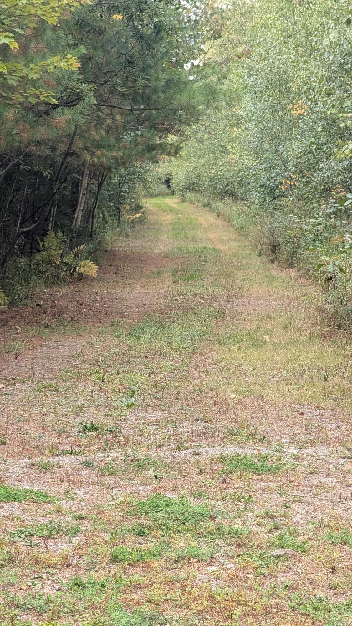 Property Photo: Lot 19 Cram Street ME 04411