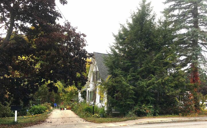 Property Photo:  436 Elm Street  NH 03246 