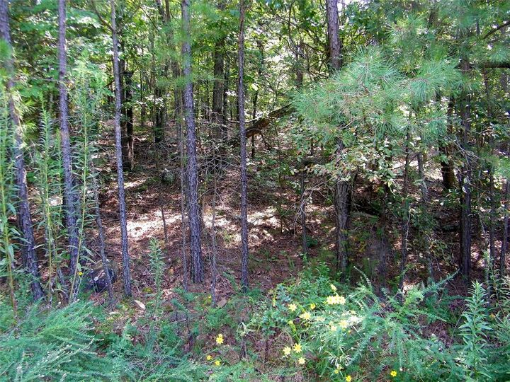 Property Photo:  Hee Creek  OK 74957 