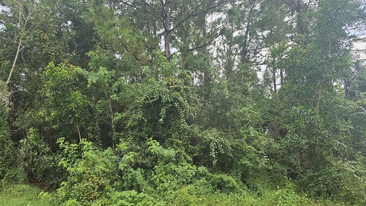 Property Photo: 5439 NW Thyer Circle FL 34983
