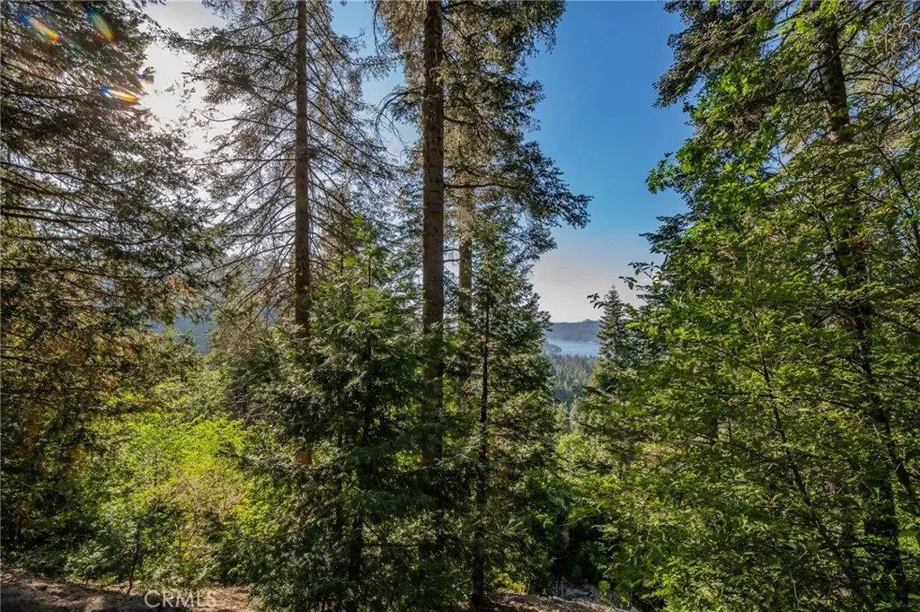 Property Photo:  716 Blue Ridge  CA 92385 