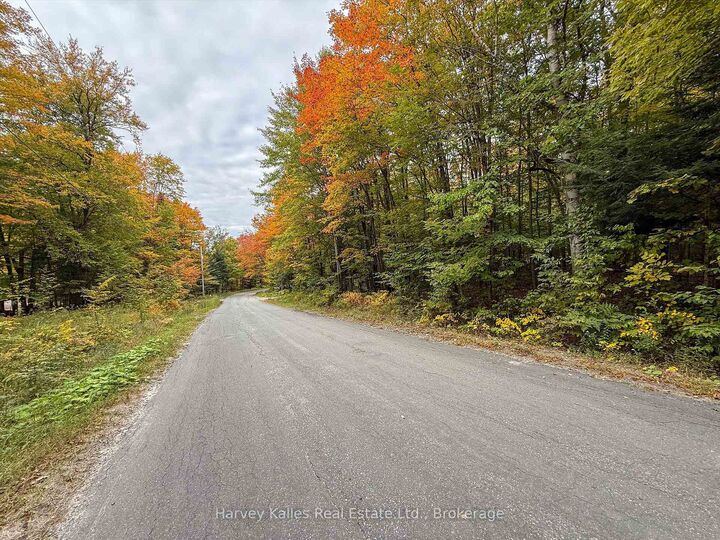 Property Photo:  481 Gryffin Lodge Road  ON P0B 1M0 