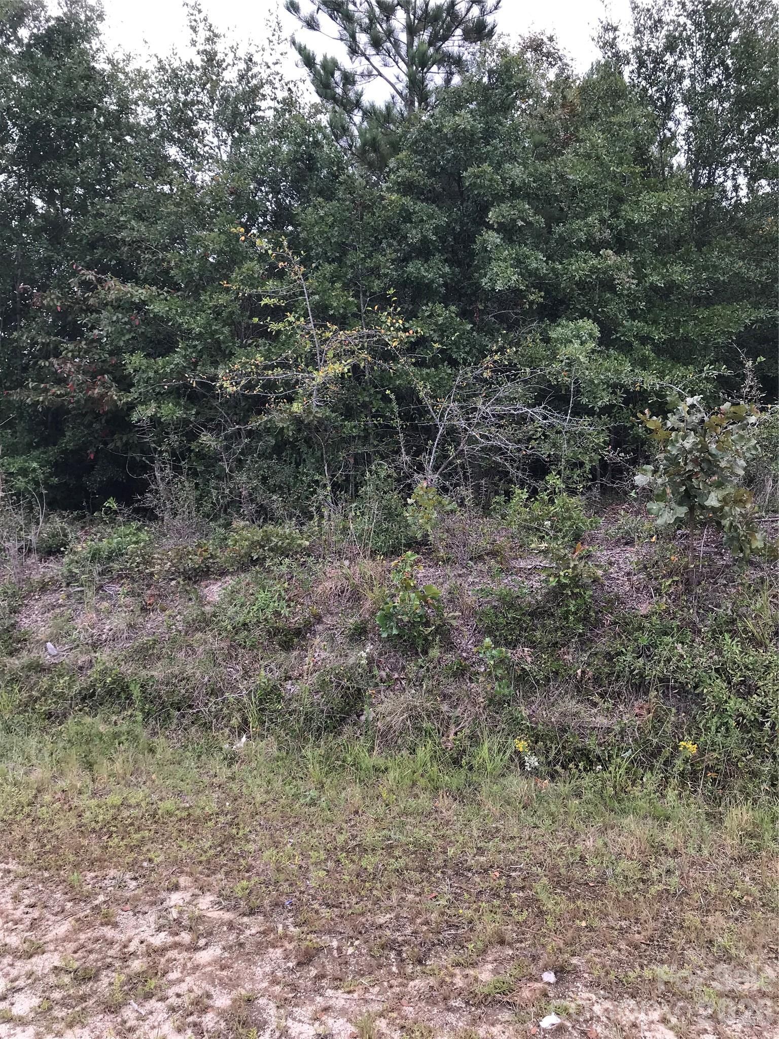 Property Photo:  4090 Travellers Road  SC 29067 