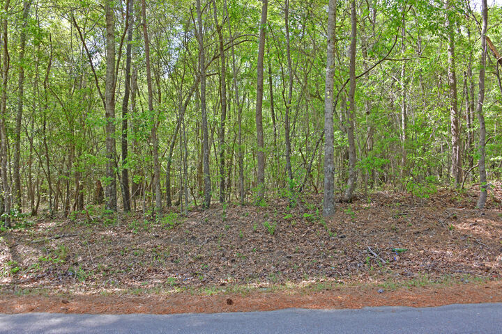 Property Photo:  0 Ridgelake(Lot 8  SC 29135 