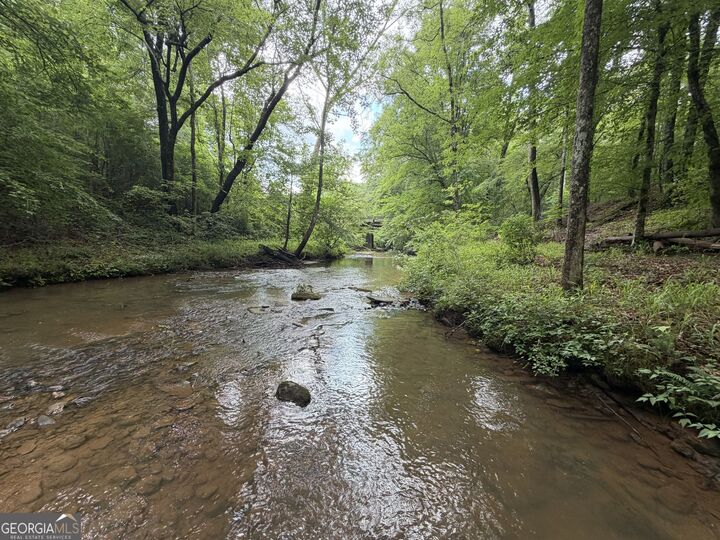 Property Photo: 00 Old Tennessee Road 3 GA 30217