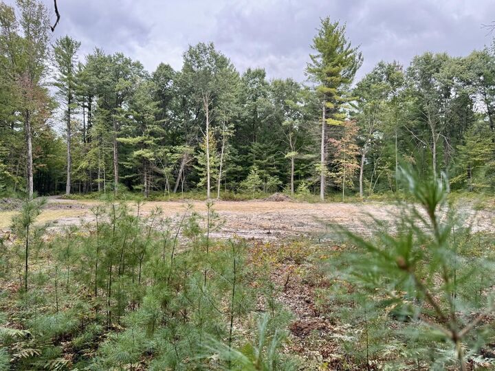 Property Photo: 403 W Wackerly Road MI 48657