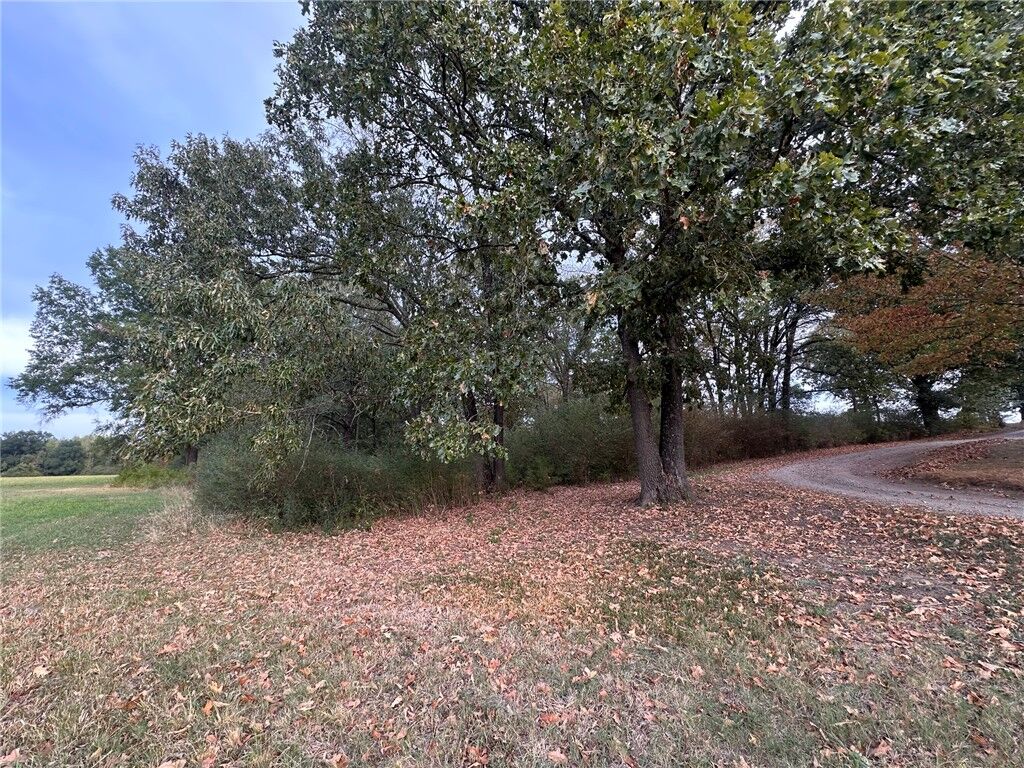 Property Photo:  0 E Walnut  AR 72855 