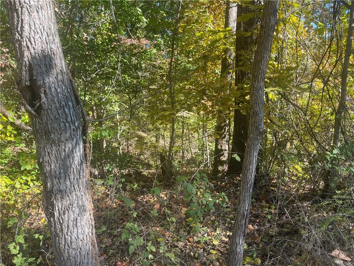 Property Photo:  Lot 19 Weedon Lane  AR 72714 