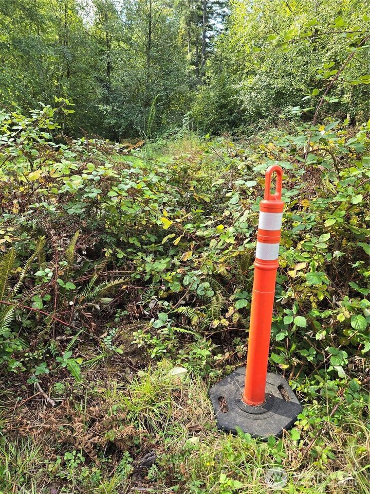 Property Photo:  13332  Reeder Road SW  WA 98589 