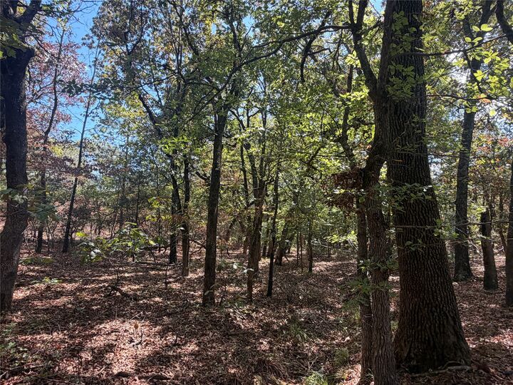 Property Photo:  Davis Road  OK 74555 