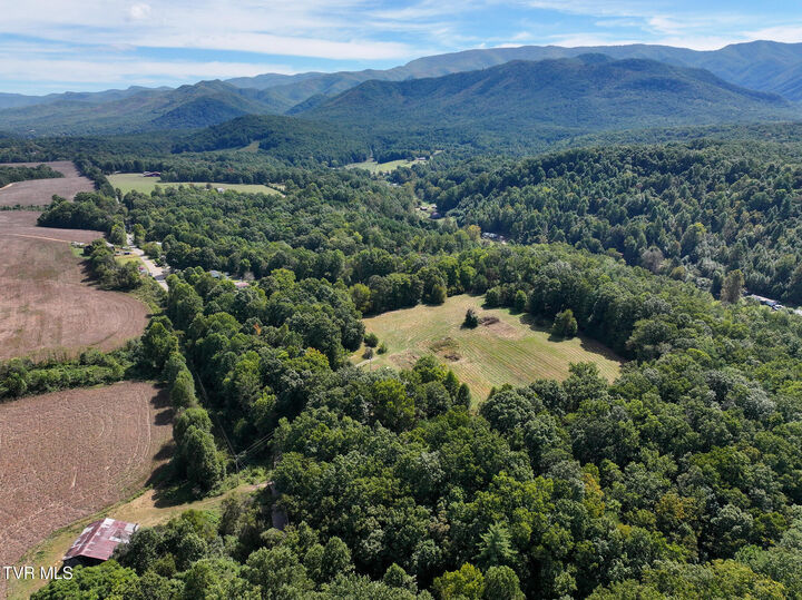 Property Photo:  250 Bill Martin Road  TN 37616 