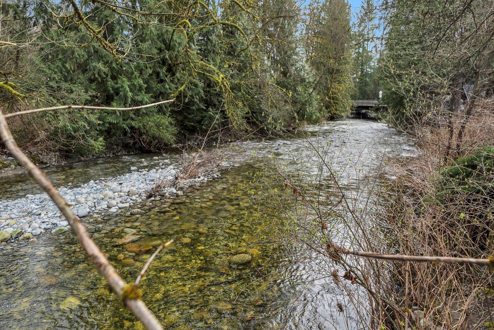 Property Photo:  13292 232 Street  BC V2X 6V3 