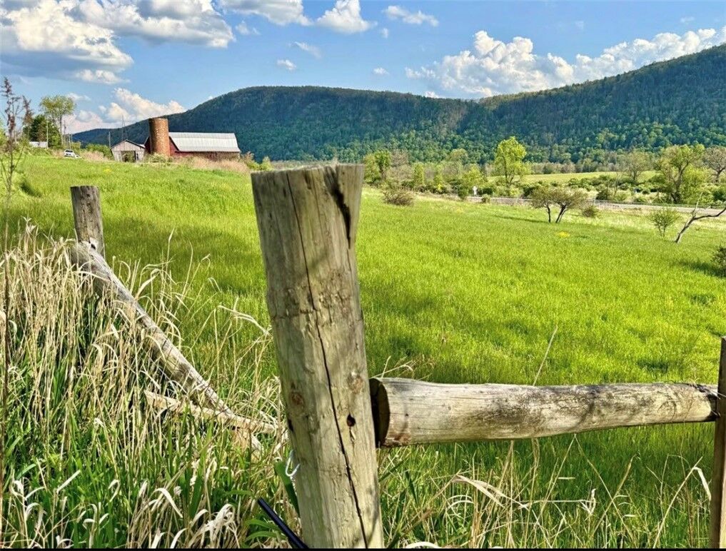 Property Photo:  0 Curren Road  NY 14903 