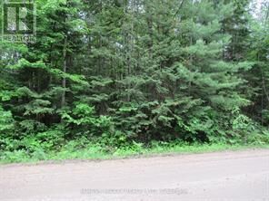 Property Photo:  Pt Lot 49 Old Moore Lake Road  ON K0J 2H0 