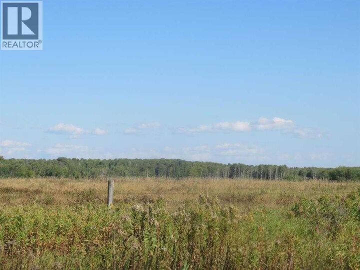 Property Photo:  142 Highway 55 South  AB T0A 2C0 