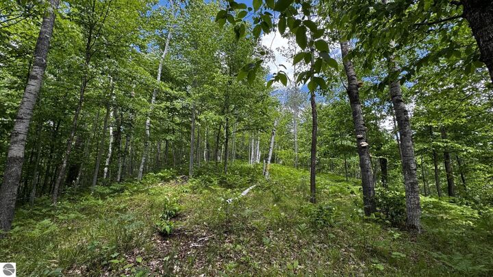 Property Photo:  6180 N Greenway Drive  MI 49733 