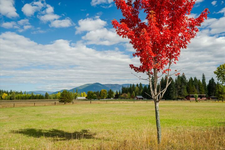 Property Photo:  842 Taylor Road  MT 59923 