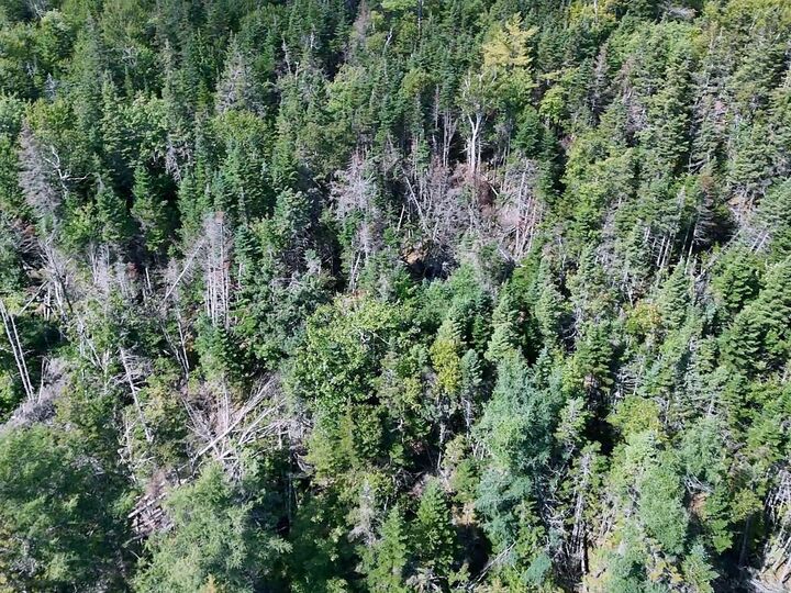 Property Photo:  New Boston Rd New Boston Road  NS B1K 2P7 