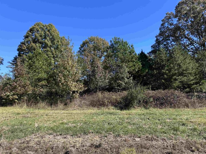 Property Photo: 01 Co Hwy 195 AL 35565