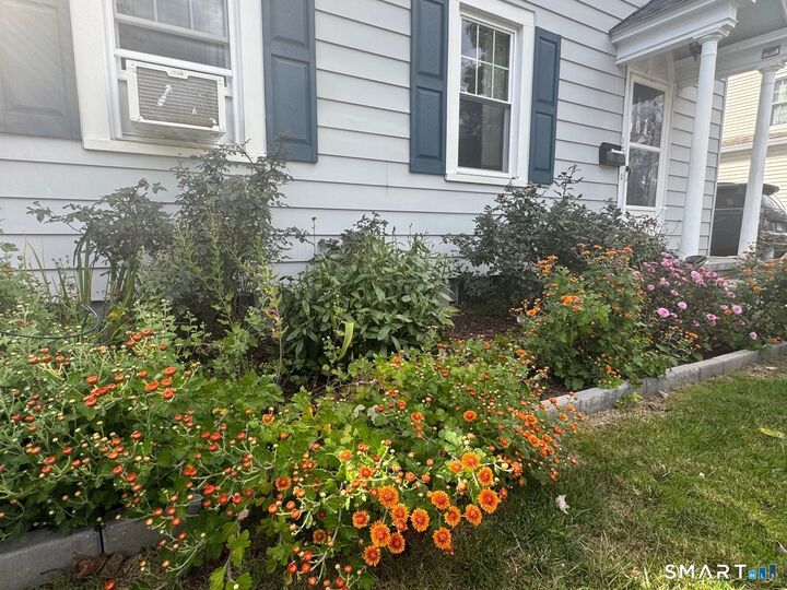 Property Photo: 95 Hunting Hill Avenue CT 06457