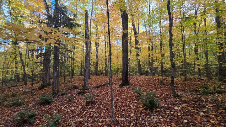 Property Photo:  Pt Lt 21 Con 5 Wolfe Lake Road  ON P0H 1Z0 