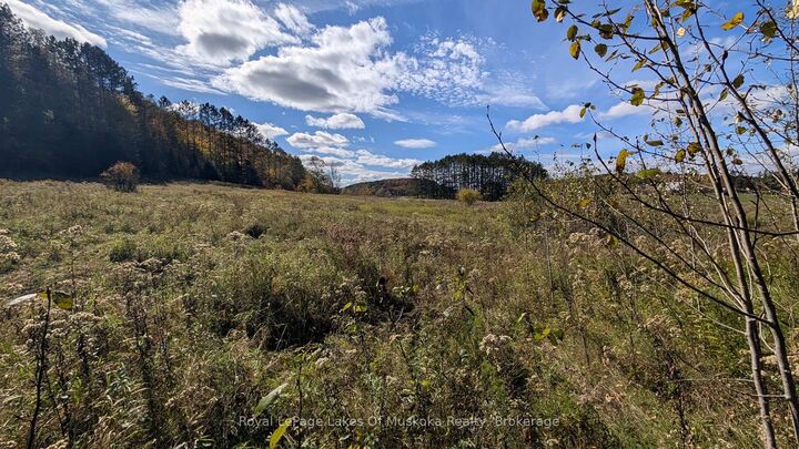 Property Photo:  1827 Highway 141 Highway  ON P0B 1M0 
