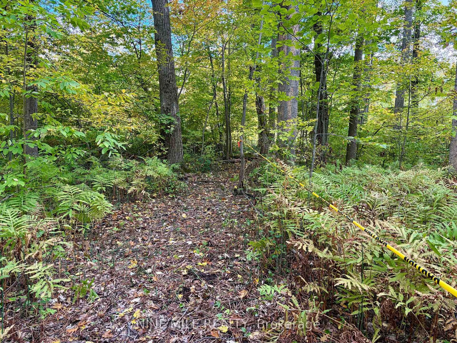 Property Photo:  3159 Switch Road  ON L0K 2B0 