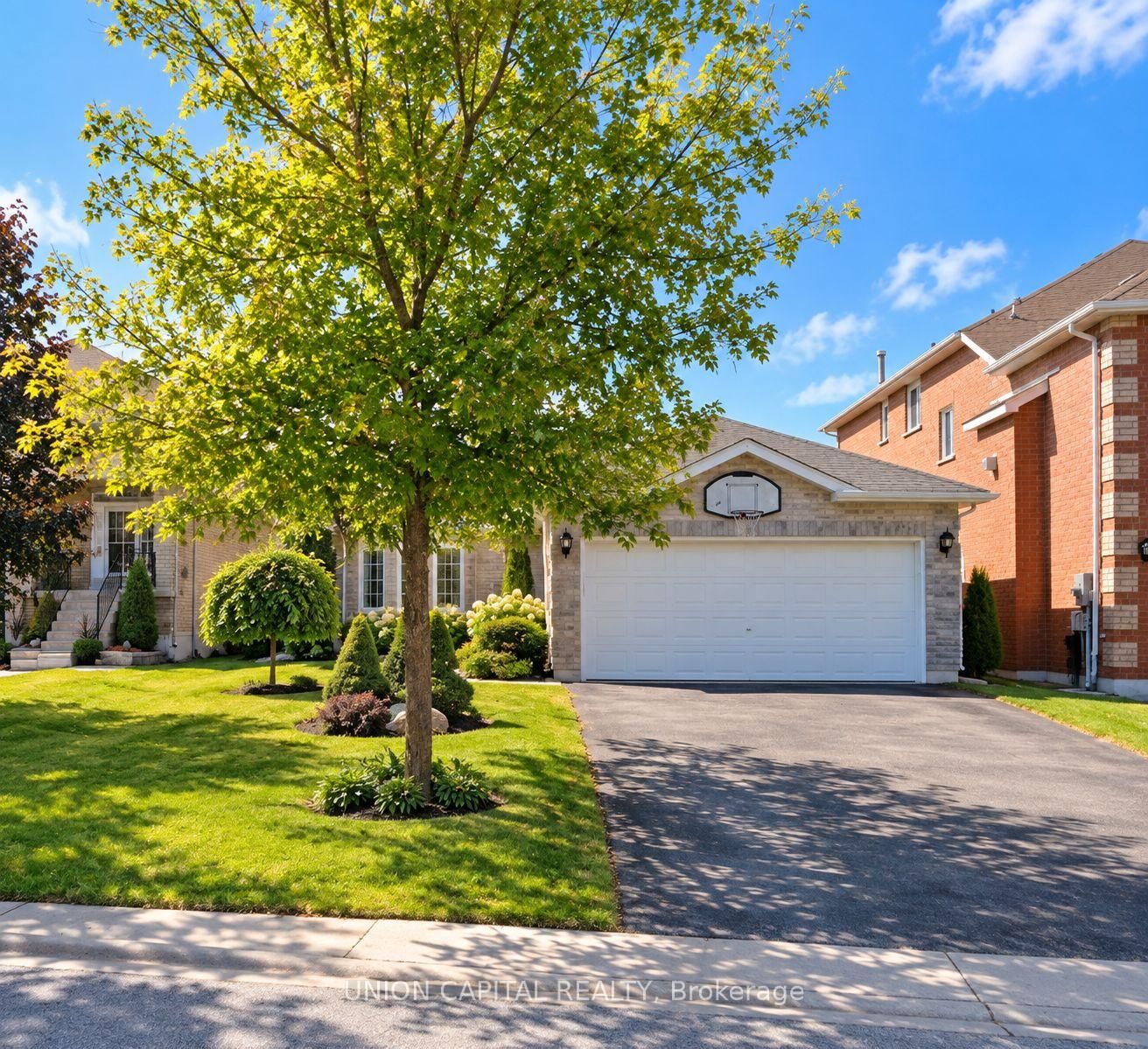Property Photo:  38 Black Willow Drive  ON L4N 9M1 