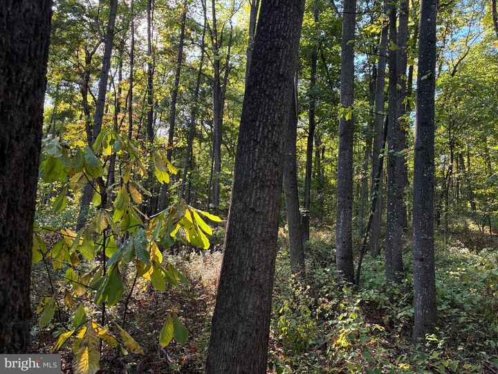 Property Photo:  Pa Kath Lane  WV 25403 