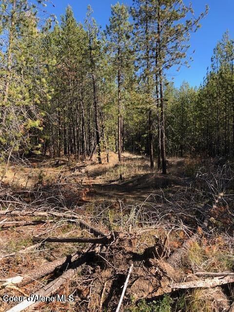 Property Photo: Nka Flintlock Way ID 83804