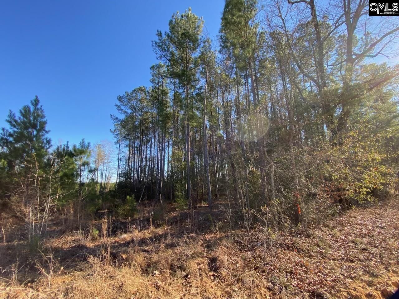 Property Photo:  606 Stacey Bridge  SC 29118 