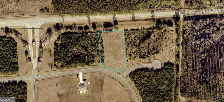 Property Photo: 111 Longshore Drive GA 31548