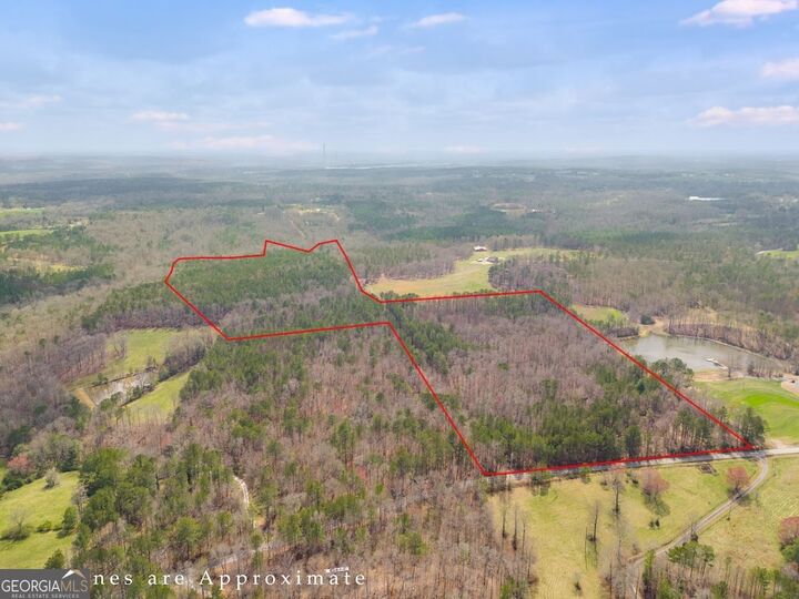 Property Photo: 0 Clem Lowell Road GA 30116