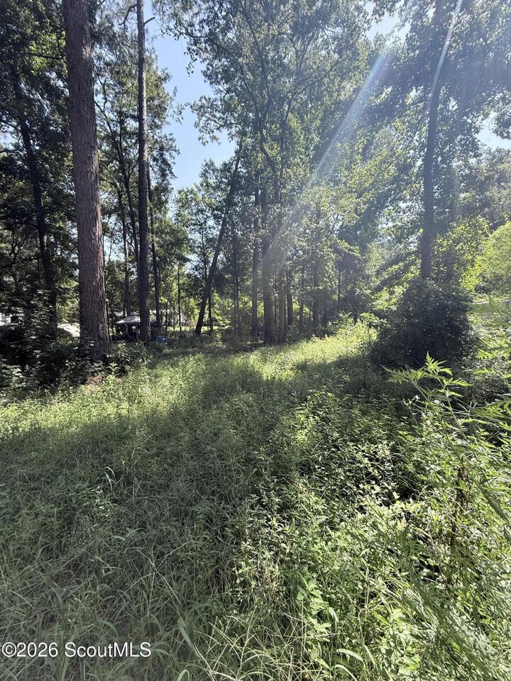 Property Photo:  409 Dogwood Lane  GA 31320 